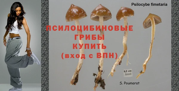 каннабис Абаза