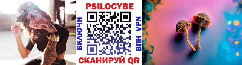 ОМГ ОМГ   Мамадыш  Галлюциногенные грибы Psilocybine cubensis 